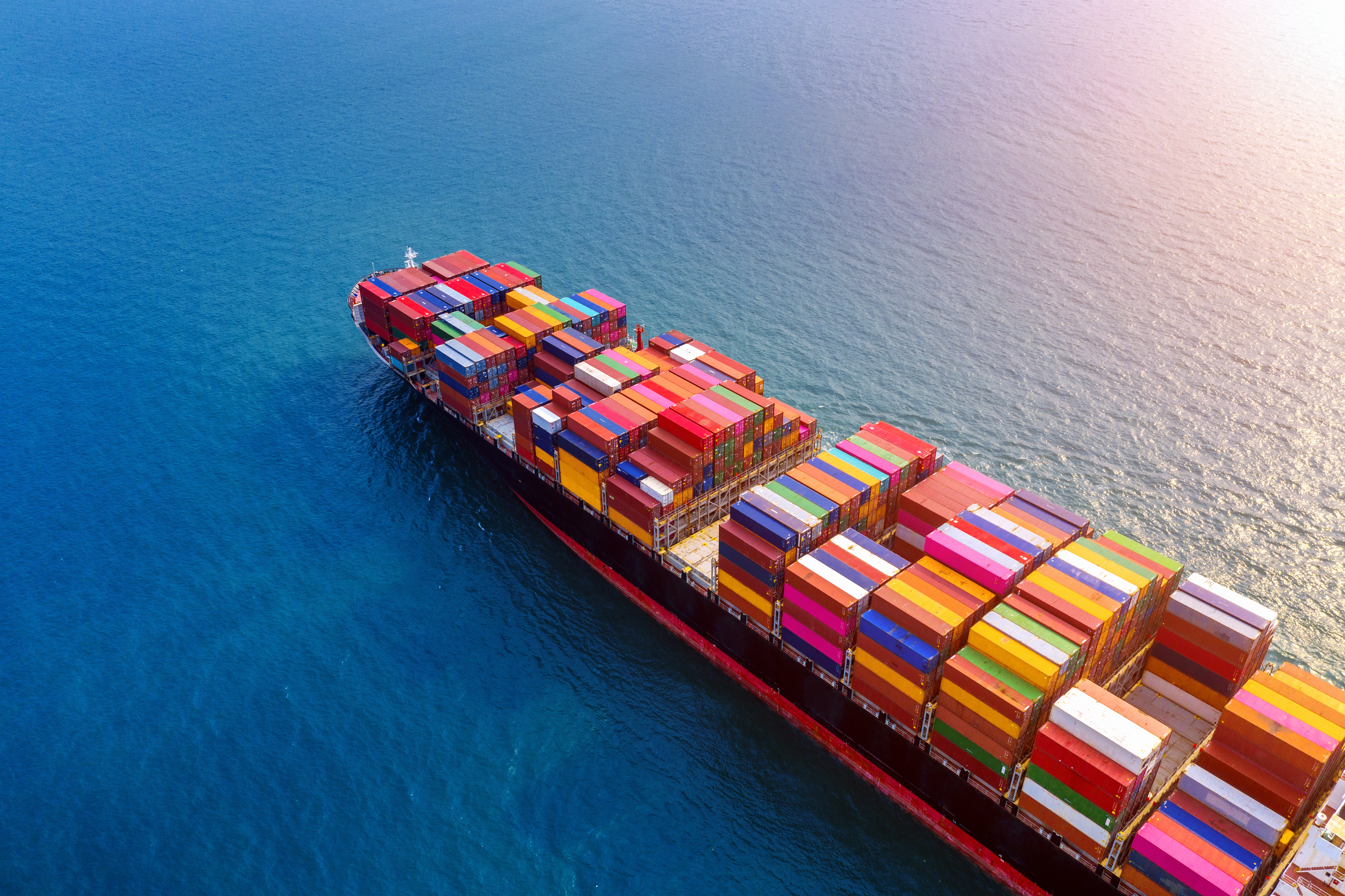 IMEXORA global trade team managing shipments